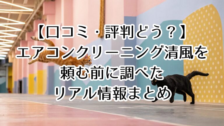【口コミ・評判どう？】エアコンクリーニング清風を頼む前に調べたリアル情報まとめ