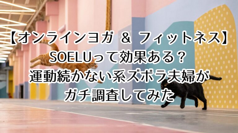 【オンラインヨガ & フィットネス】SOELUって効果ある？運動続かない系ズボラ夫婦がガチ調査してみた