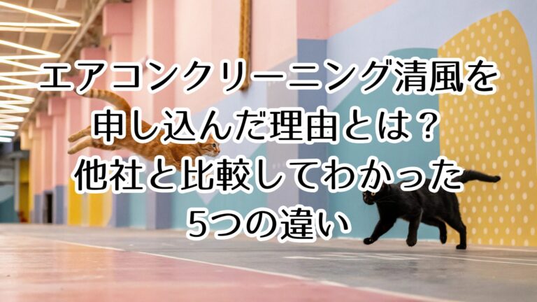 エアコンクリーニング清風を申し込んだ理由とは？他社と比較してわかった5つの違い