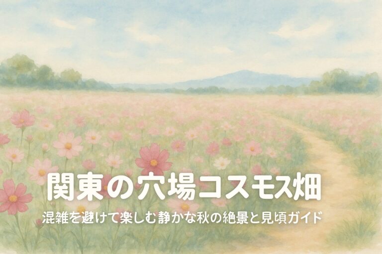 関東の穴場コスモス畑｜混雑を避けて楽しむ静かな秋の絶景と見頃ガイド